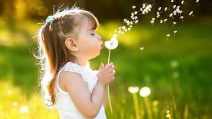 Юмор на утро и Гренландская волость