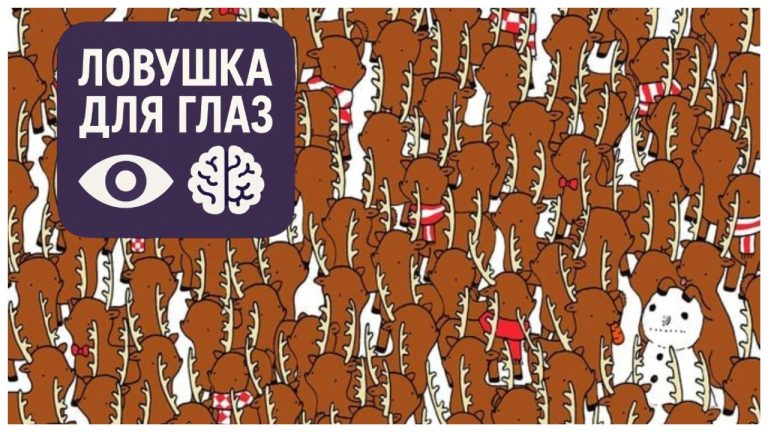 🔍 Ловушка для глаз: сможете ли вы найти медведя среди оленей Санты за 15 секунд?