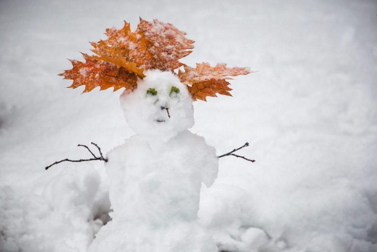 Февраль в этом году обещает быть значительно холоднее климатической нормы
