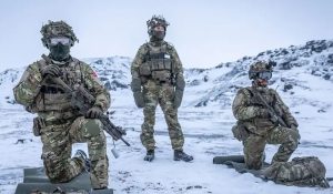 США направили военные самолеты в Гренландию