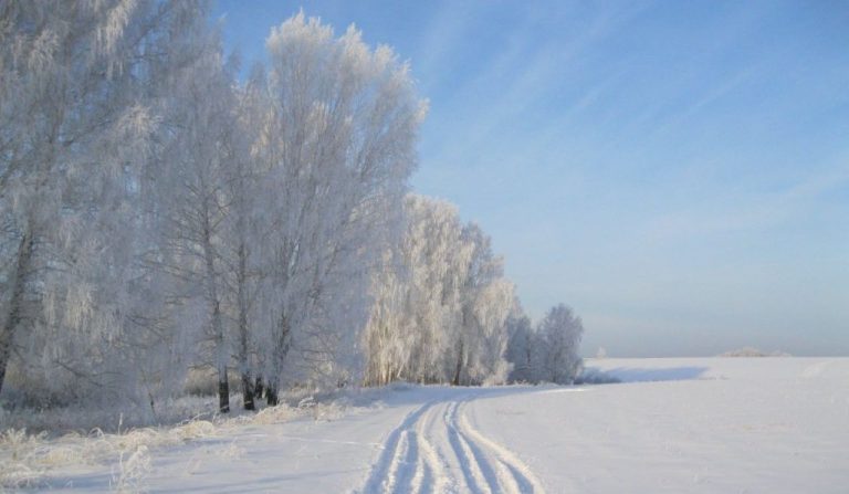 Среднесуточная температура воздуха в Латвии опустилась на 11 градусов ниже климатической нормы