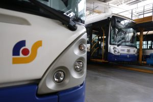 В Вайнёдской волости из-за вспышки африканской чумы свиней уничтожат более  22000 животных