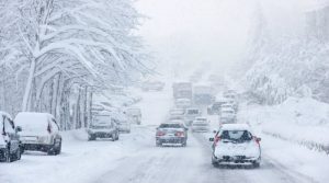 Спикер Сейма Дайга Миериня в обход правительства выдвинула Дональда Трампа на Нобелевскую премию мира