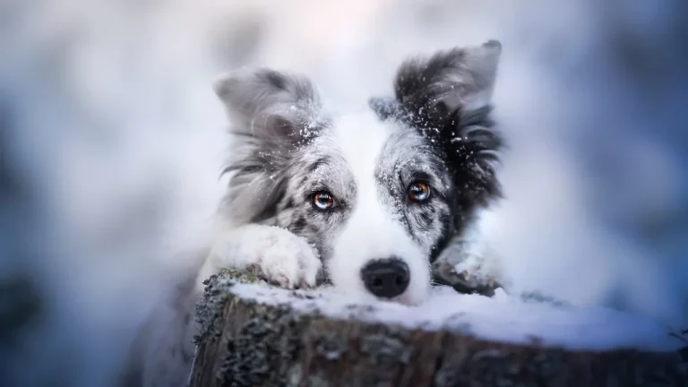 Держитесь, люди! Мороз пока не отступает: прогноз синоптиков на выходные