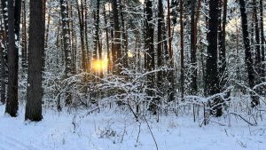 Центральный вокзал и еще восемь станций Риги: как изменится городская среда к 2030 году