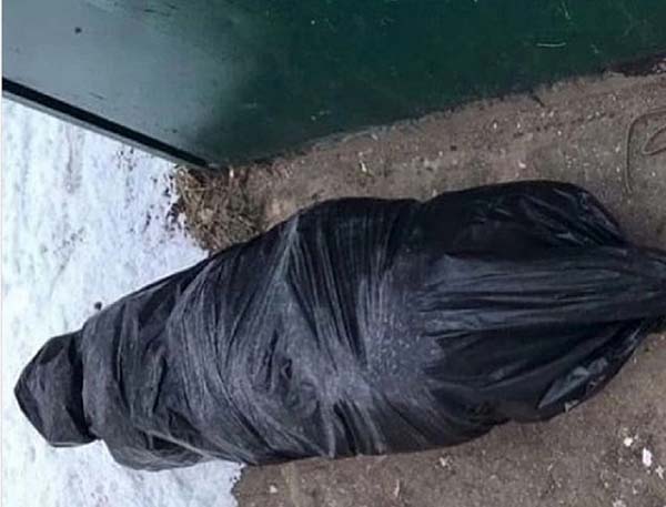 Как обычная рождественская ёлка в мешке едва не подняла по тревоге все экстренные службы