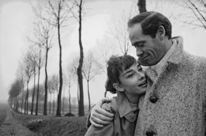 Яблочный торт из простых продуктов, выглядит как праздничный, получается всегда