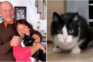 В США из-за снежного шторма отменили более 8 000 авиарейсов