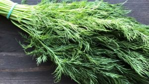 На портале Manabalss собирают подписи за ликвидацию автобазы Сейма Латвии