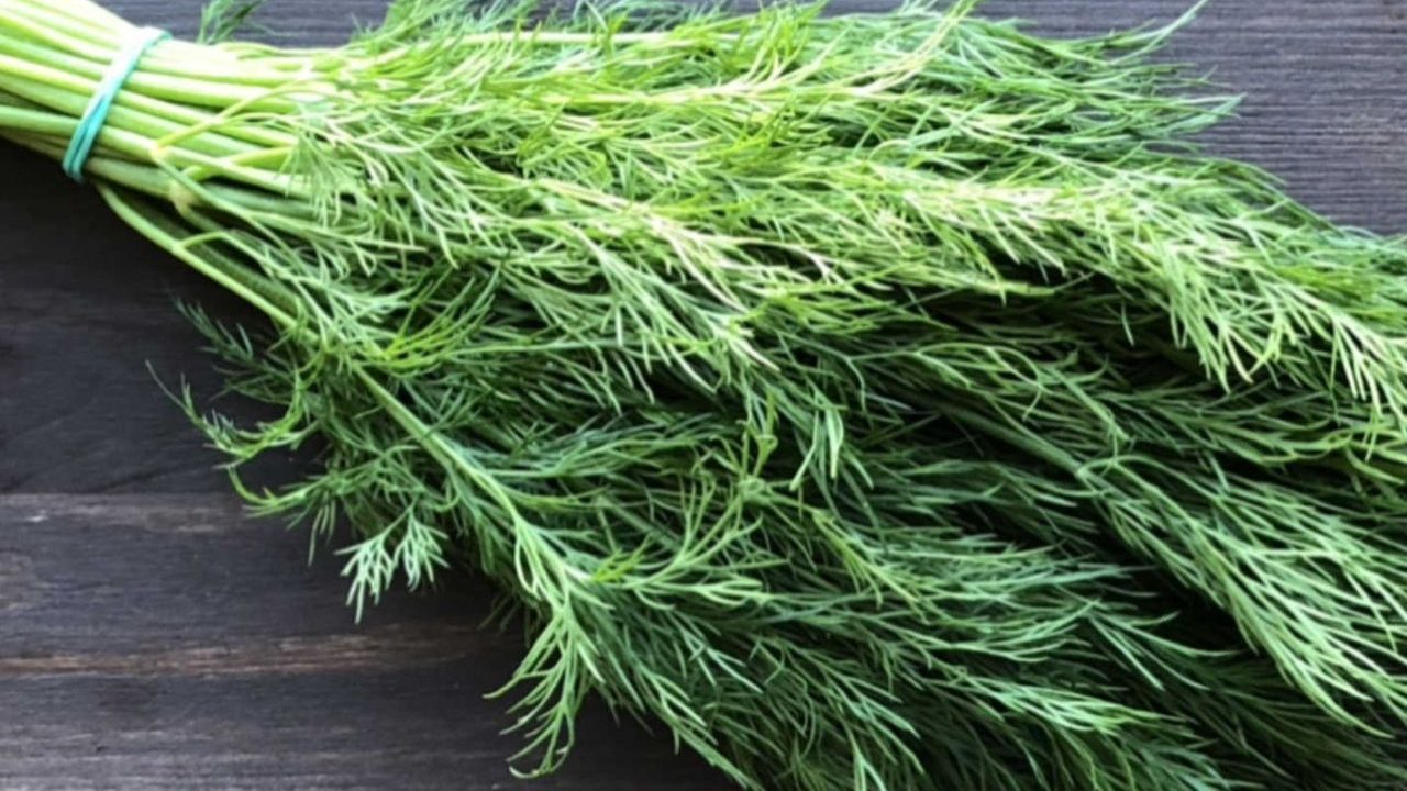 В Латвии уничтожили три тонны узбекского укропа с опасным пестицидом