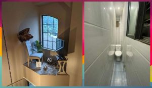 Выберите кактус - и узнайте, какая «тёмная сторона» просыпается в вас под стрессом