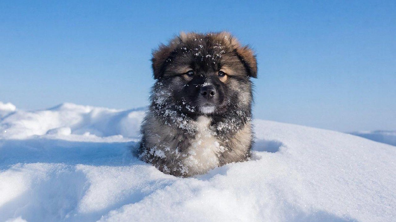 Холод с Арктики: впереди - сильные морозы, Рижский залив начнет замерзать