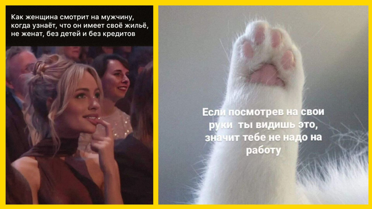 Юмор на утро лапки