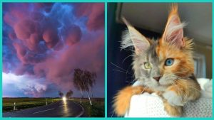 ТЕСТ: как вы сидите с партнёром на диване? 7 поз, которые могут многое рассказать о ваших отношениях