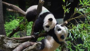 В сеть слили 48 млн паролей от Gmail - база была открыта более месяца