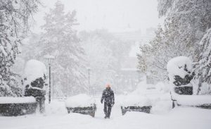 «Очень фальшиво». Маэстро обратился к адвокату в связи с песенными праздниками, названными его именем