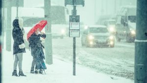 В Риге открыт новый дневной центр для людей с деменцией: услуги предоставляют бесплатно