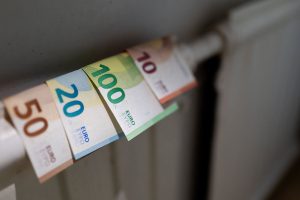 Семья капибар в Рижском зоопарке ищет подходящие имена для пяти своих малышей