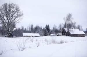 Три звонка, три встречи, 7 200 евро: как житель Валмиерского края попался на удочку мошенников