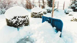 Как понравиться людям с первой встречи: 8 простых приёмов, которые создают тёплую связь