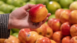 В Эстонии призывникам, не знающим госязыка, обеспечат курсы эстонского