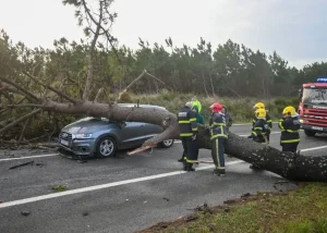 Испания выделит 20 млн евро в помощь семьям погибших и пострадавшим после катастрофы поездов
