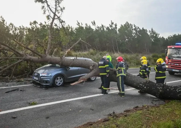 Португалию накрыл разрушительный циклон: полстраны без света