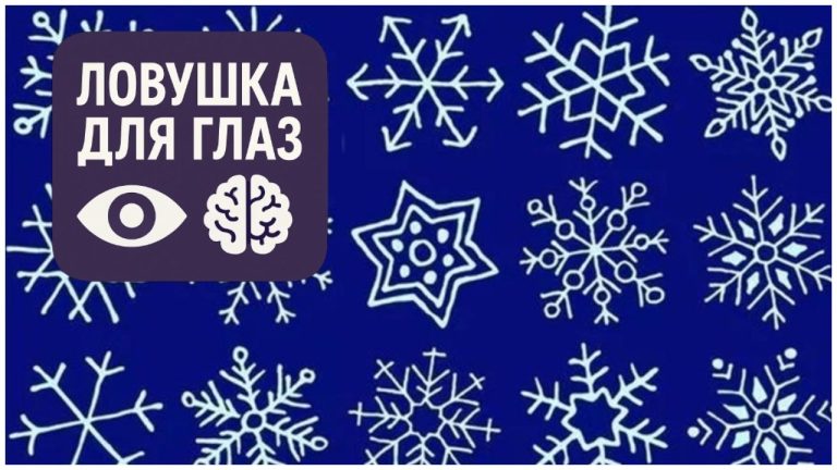 🔍 Ловушка для глаз: сможете ли вы найти две одинаковые снежинки за 15 секунд?