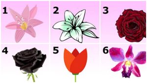 Психологический тест с цветами — выберите самый привлекательный цветок и узнайте тайну своего характера