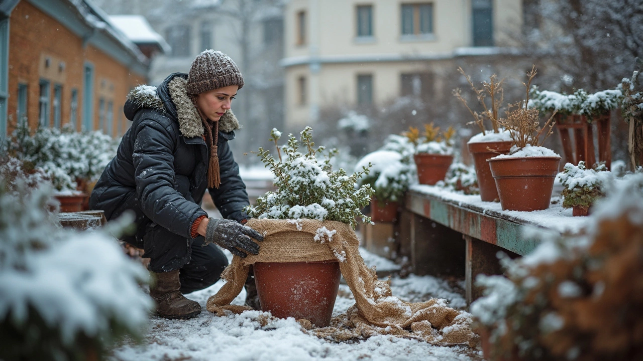 Защита клубники и плодовых деревьев зимой: полное руководство для садовода