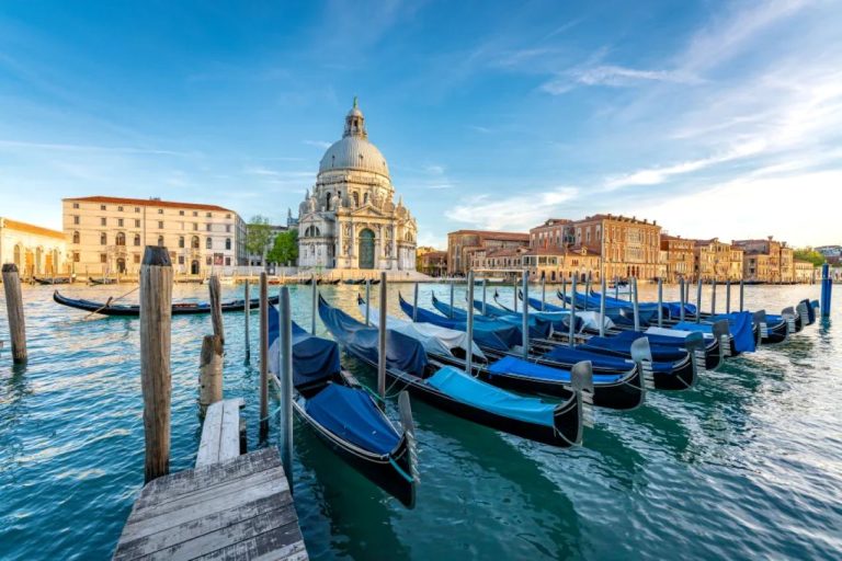 Венецию атаковали опасные медузы-каннибалы: нашествие грозит экосистеме