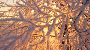 В понедельник власти примут решение о мерах поддержки населения из-за подорожания отопления