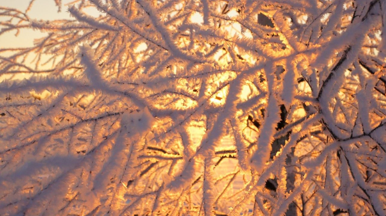 Мороз и солнце: воскресенье будет очень холодным, на востоке Латвии - до -30