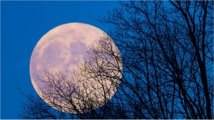 Полнолуние Снежной Луны 1 февраля — яркая Луна в зимнем небе как символ внутреннего огня и обновления