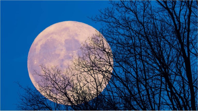 Полнолуние Снежной Луны 1 февраля: как использовать его энергию, чтобы перезапустить желания и внутреннюю силу