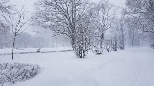 Шестидневные рабочие недели в 2026 году вызвали волну критики в социальных сетях (+опрос)