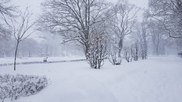 Запасайтесь лопатами - в воскресенье во многих районах Латвии выпадет снег!