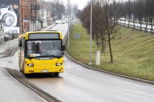 В парке Победы в Риге открыта лыжная трасса и прокат лыж