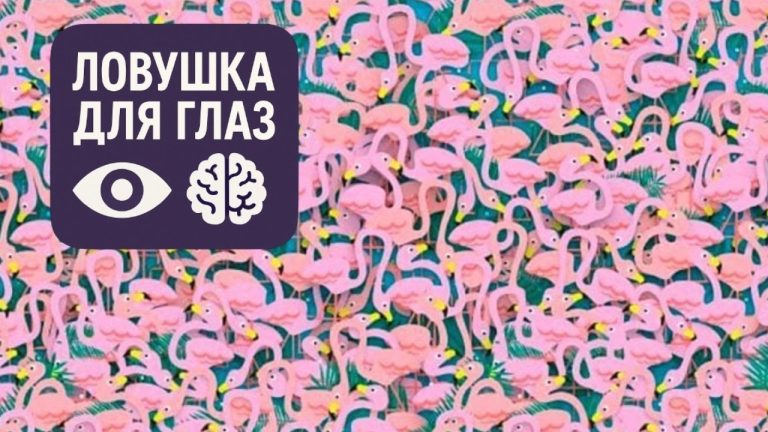 🔍 Ловушка для глаз. Этот тест сбивает с толку: сможете ли вы найти балерину за 15 секунд?