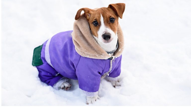 Мороз и солнце: погода на среду. Идёт похолодание