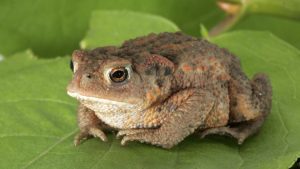 Эксперт: меняются налоги и акцизы, но какими будут реальные цены, покажет время