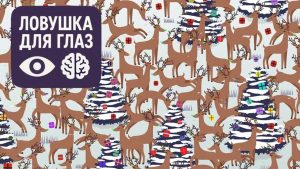 Юмор на утро и конфета с жидким центром