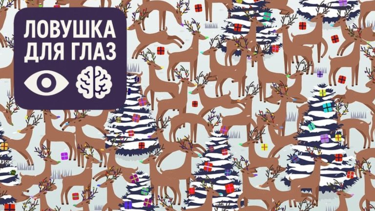 Эта зимняя «ловушка для глаз» сбивает с толку: где красноносый олень?