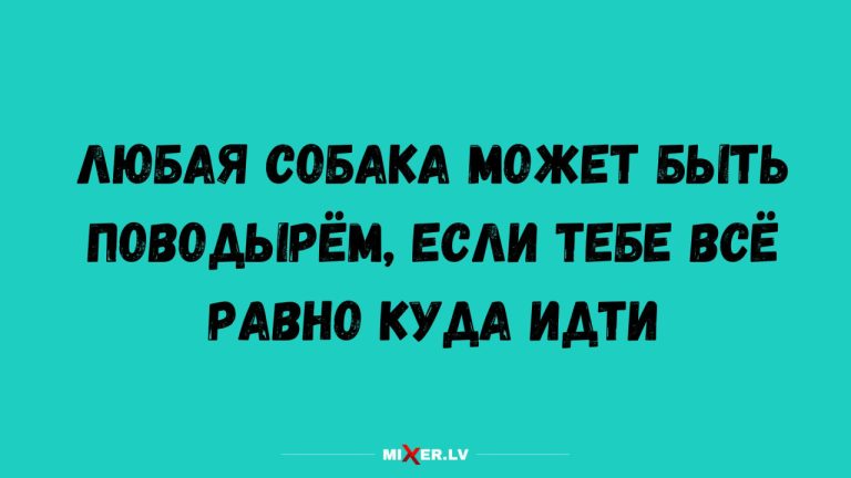 Юмор для тех, кто повзрослел и понял, что «тренд на 90-е» - это носить то, что ты уже носил в школе, и называть это винтажем