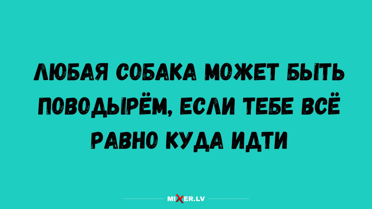 10 малоизвестных фактов о жизни и смерти Винсента Ван Гога