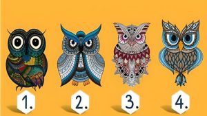 Четыре совы для визуального теста личности — выберите одну и узнайте свой характер