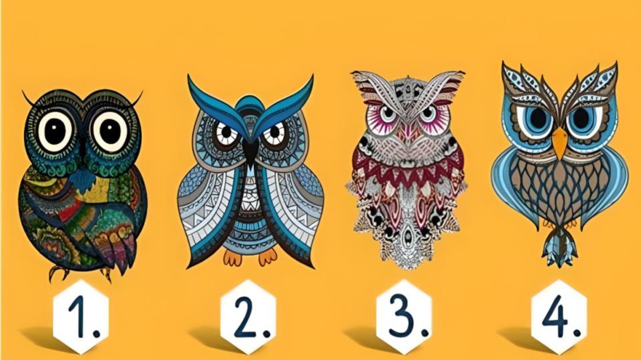 Четыре совы для визуального теста личности — выберите одну и узнайте свой характер