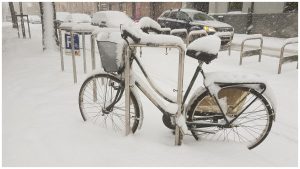 Снегопад и зимняя погода в Латвии — синоптики предупреждают о метелях и усилении морозов