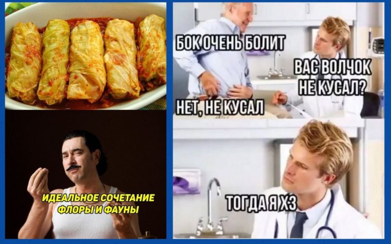 Смешные картинки с надписями и флора с фауной