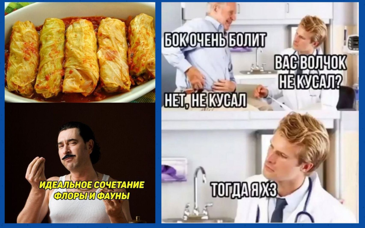 Смешные картинки с надписями и флора с фауной